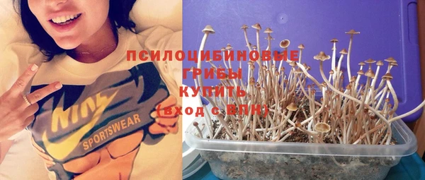 марихуана Володарск