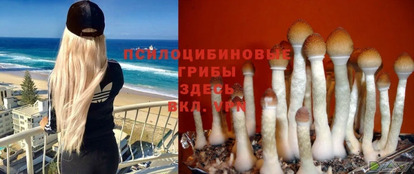 марихуана Володарск