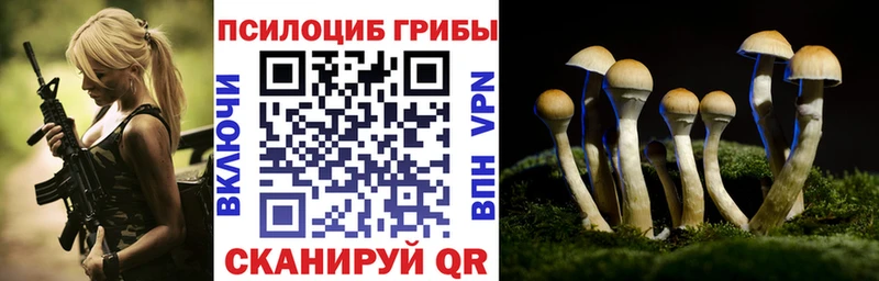Галлюциногенные грибы мицелий Завитинск